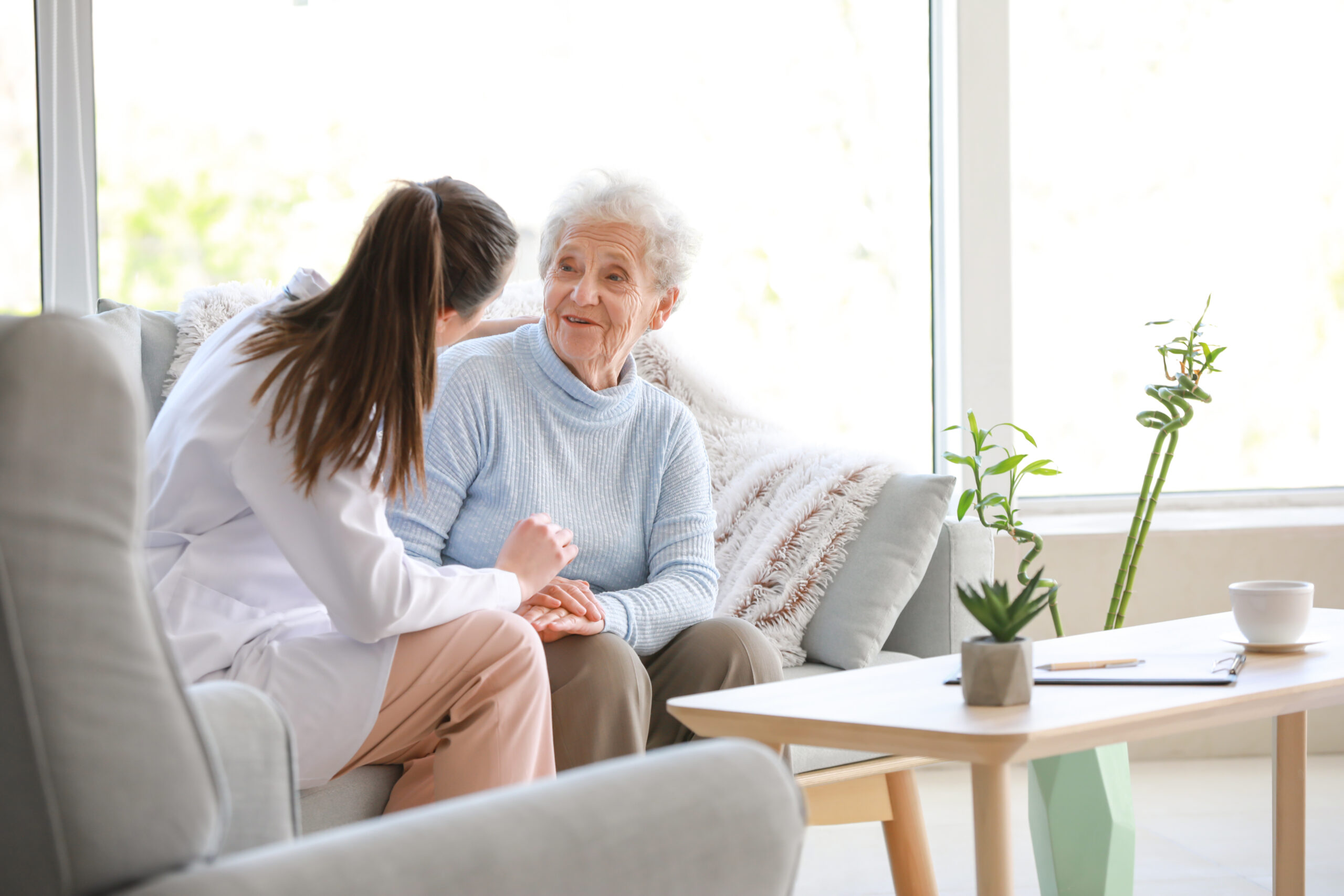 Nurse discussing the essentials to aging in place with an elderly woman at home.