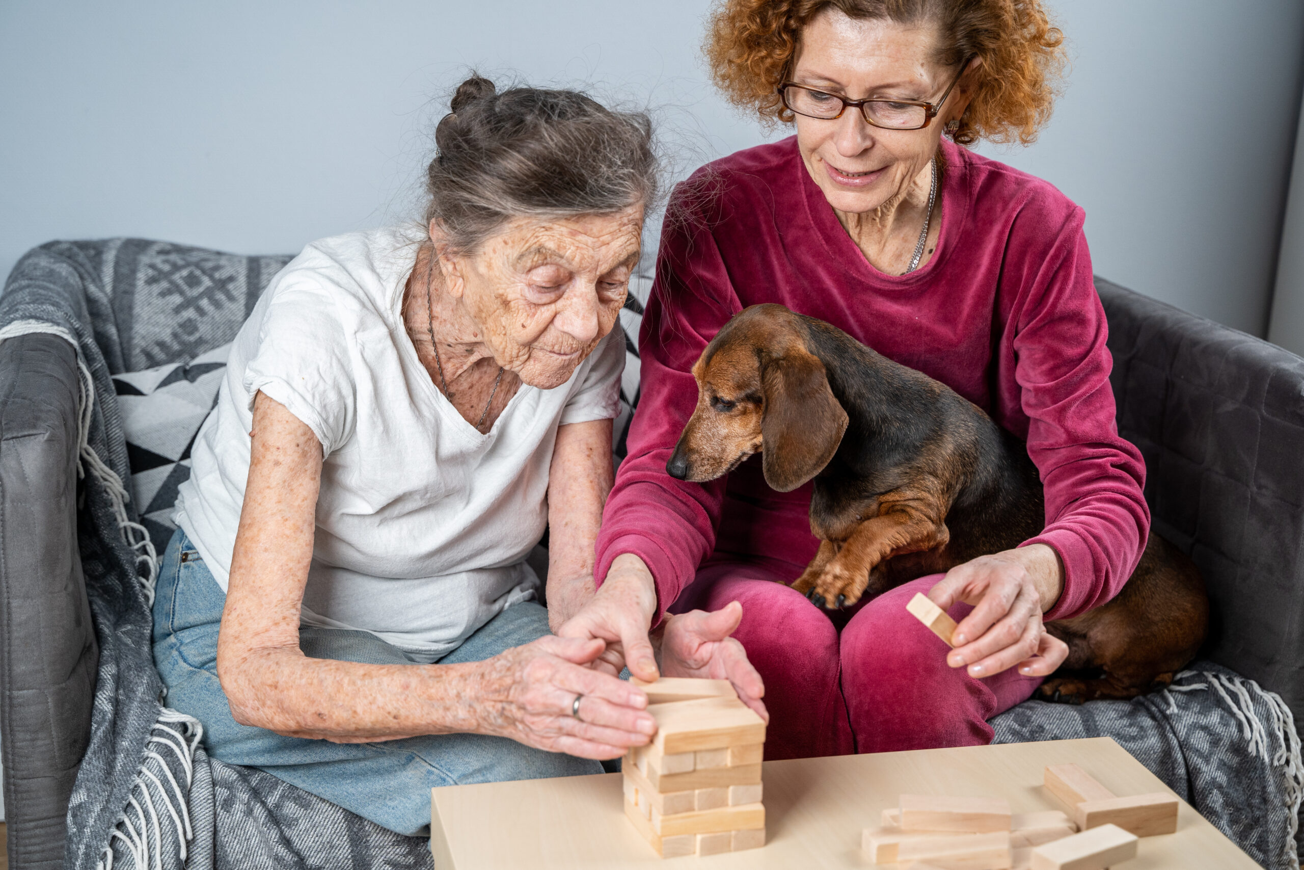 Retired mother and daughter spend time together at home, with their dog, playing a game.